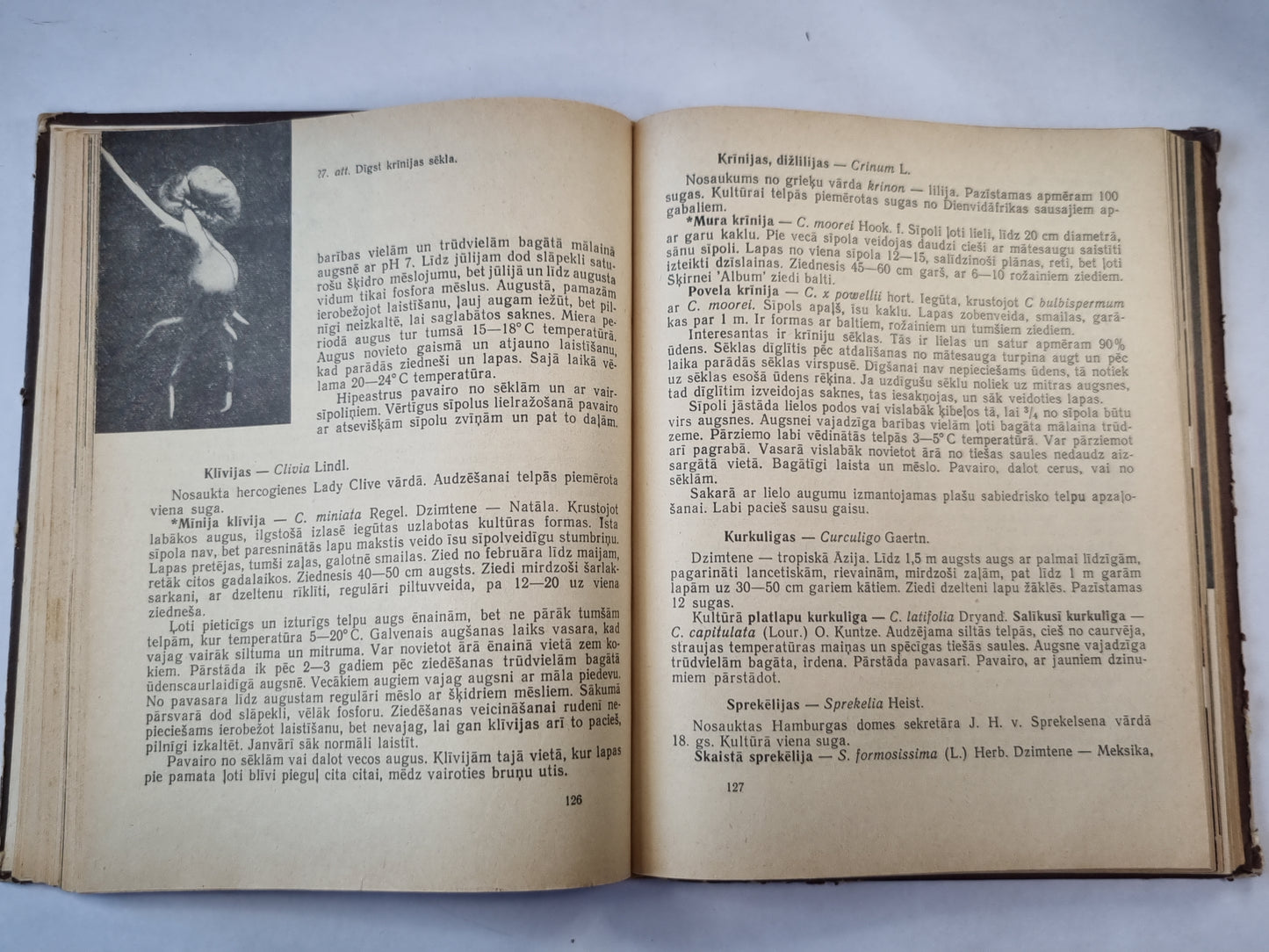 Puķkopība. Otrā daļa