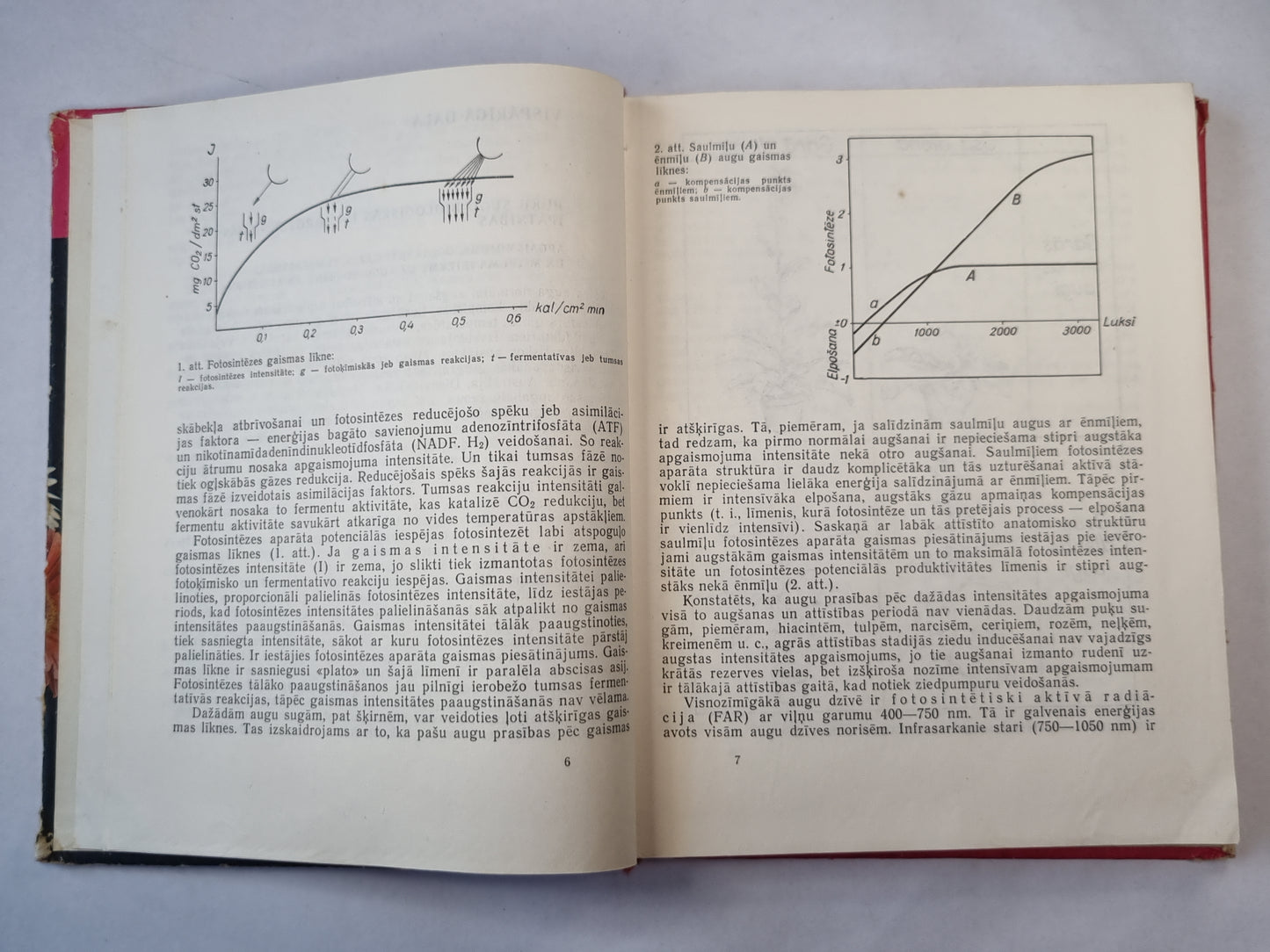 Puķkopība. Trešā daļa