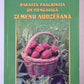 Parastā, pagarinātā un viengadīgā zemeņu audzēšana