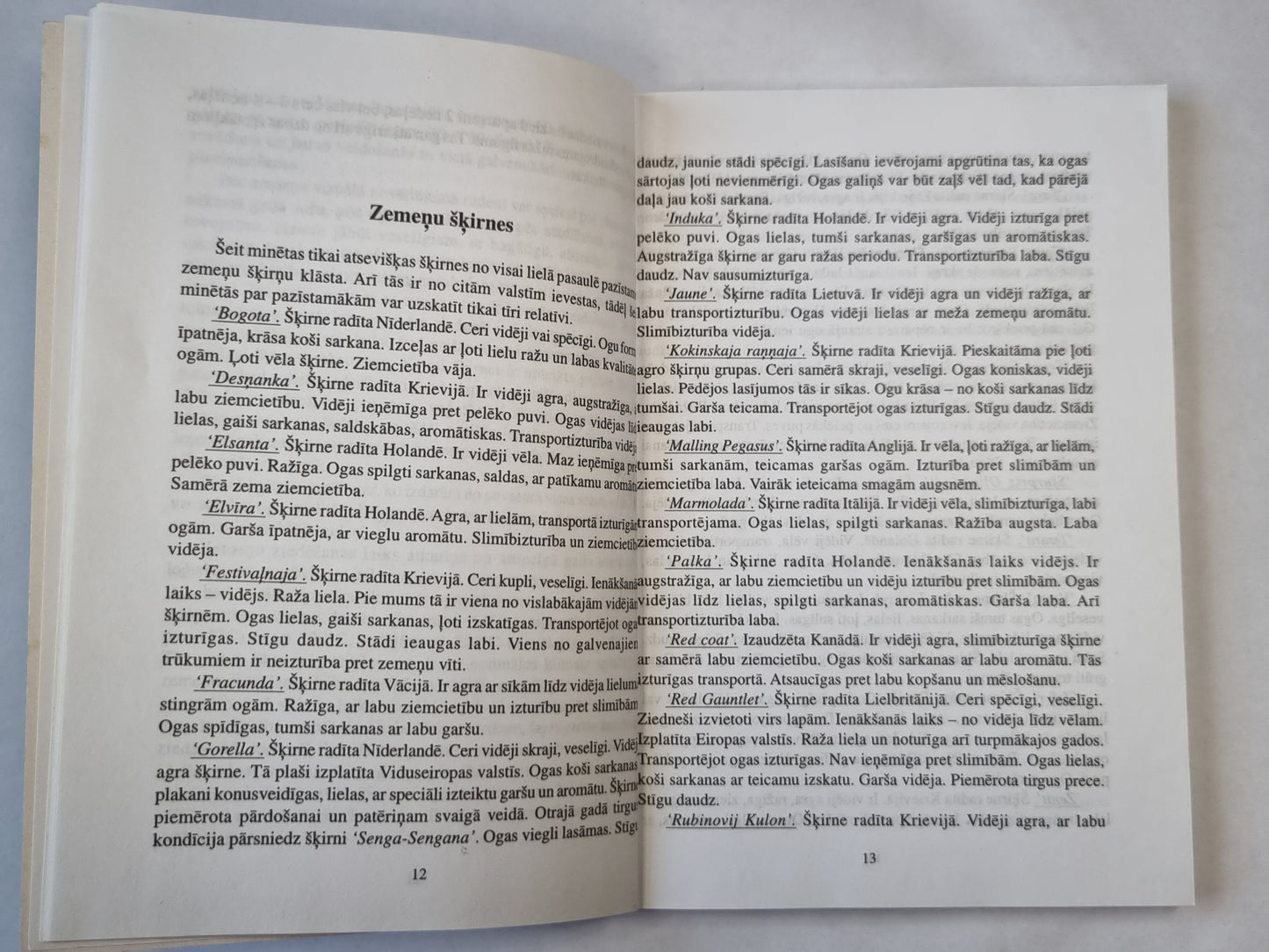 Parastā, pagarinātā un viengadīgā zemeņu audzēšana