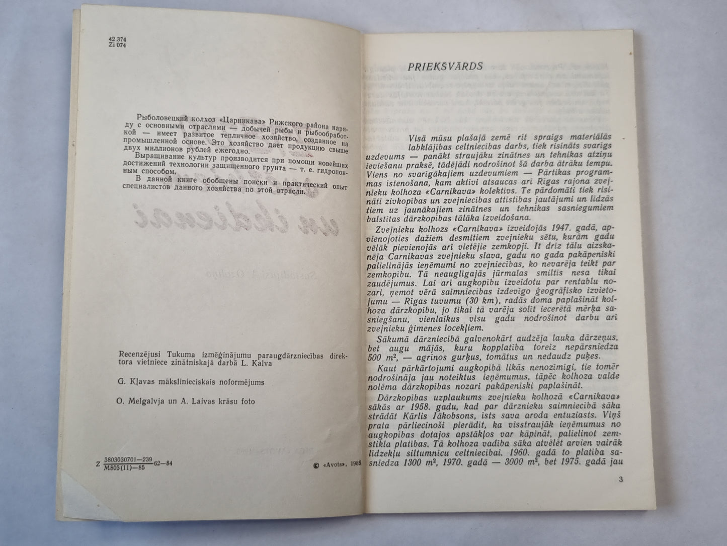 Ziedi svētkiem un ikdienai