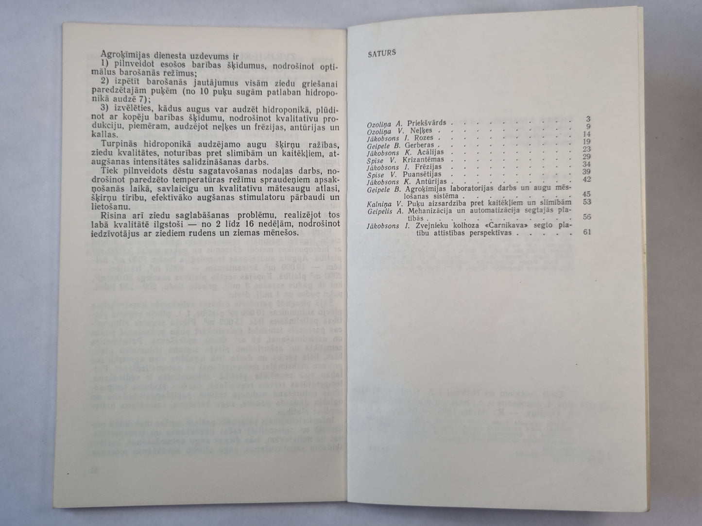 Ziedi svētkiem un ikdienai