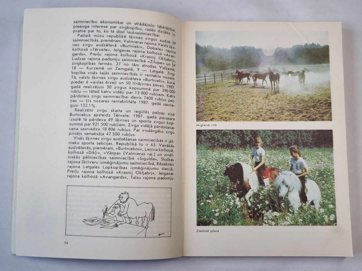 Ieskaties un ieklausies zirgā