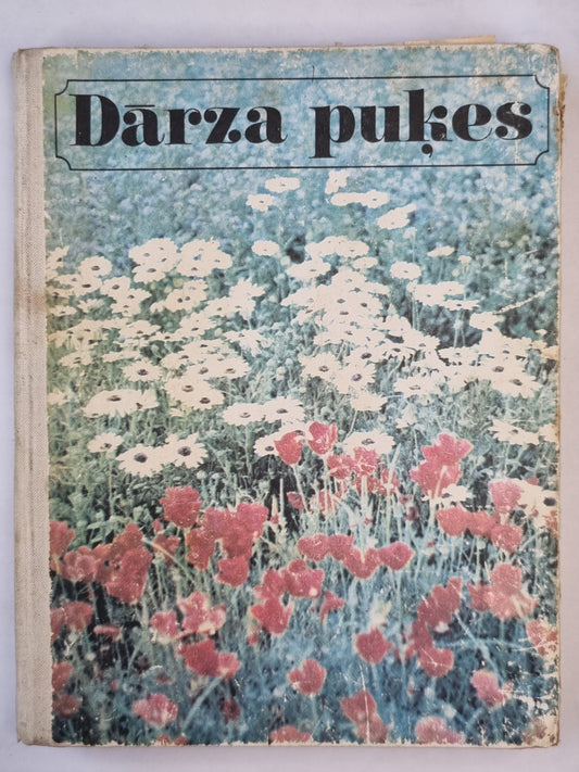 Dārza puķes