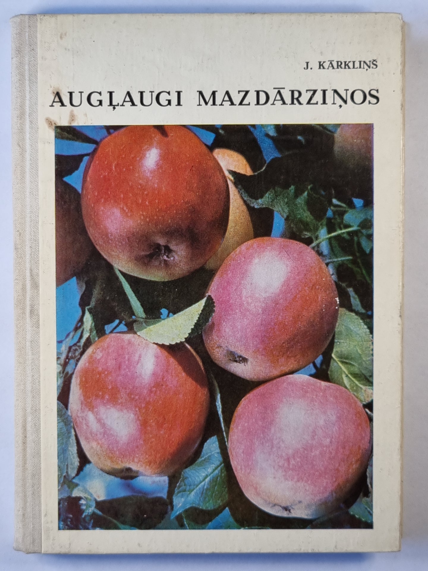 Augļaugi mazdārziņos