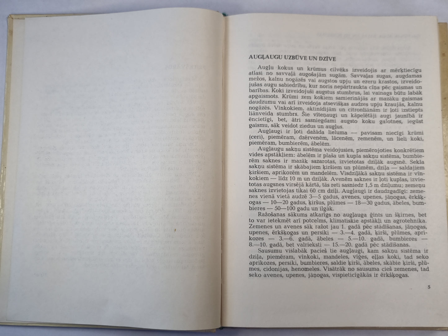 Augļaugi mazdārziņos