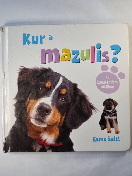 Kur ir mazulis ?