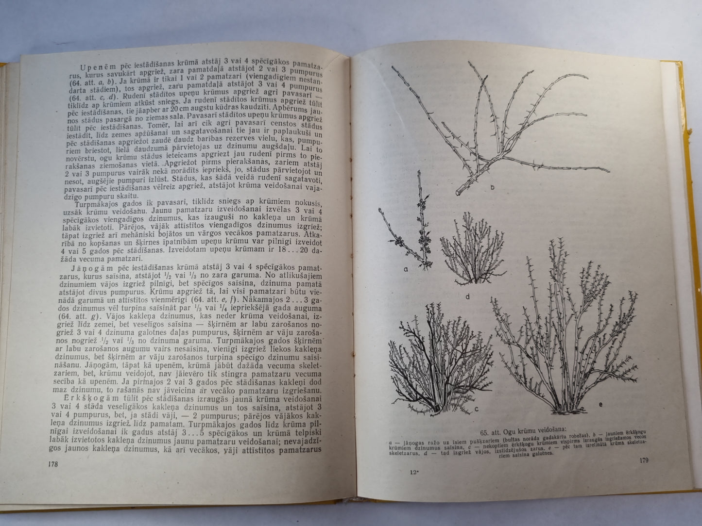 Darbi augļu dārzā