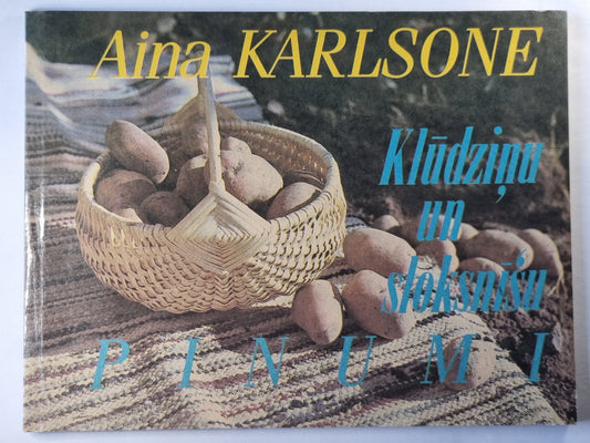 Klūdzinu un sloksnīšu pinumi