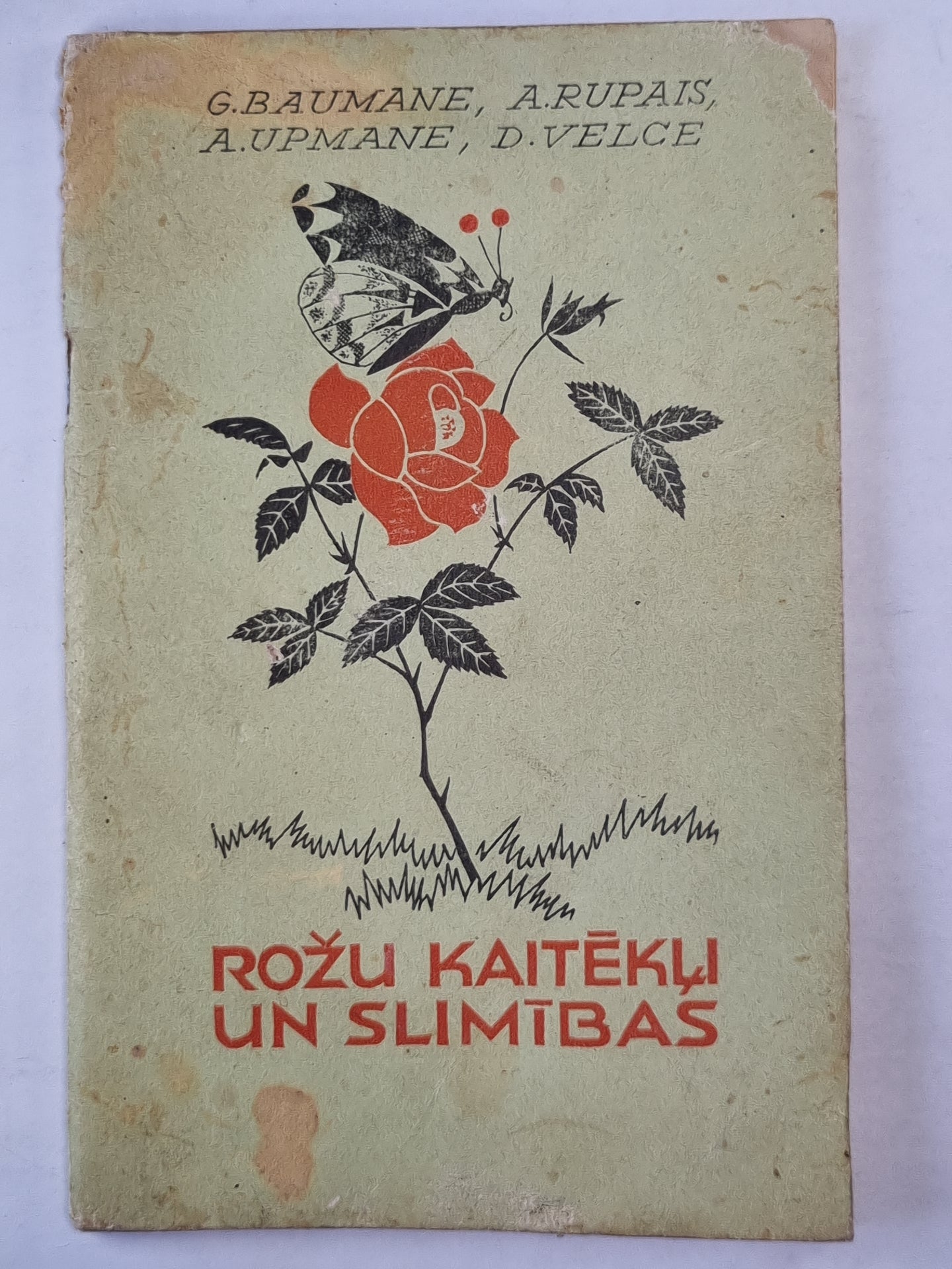 Rožu kaitēkļi un slimības