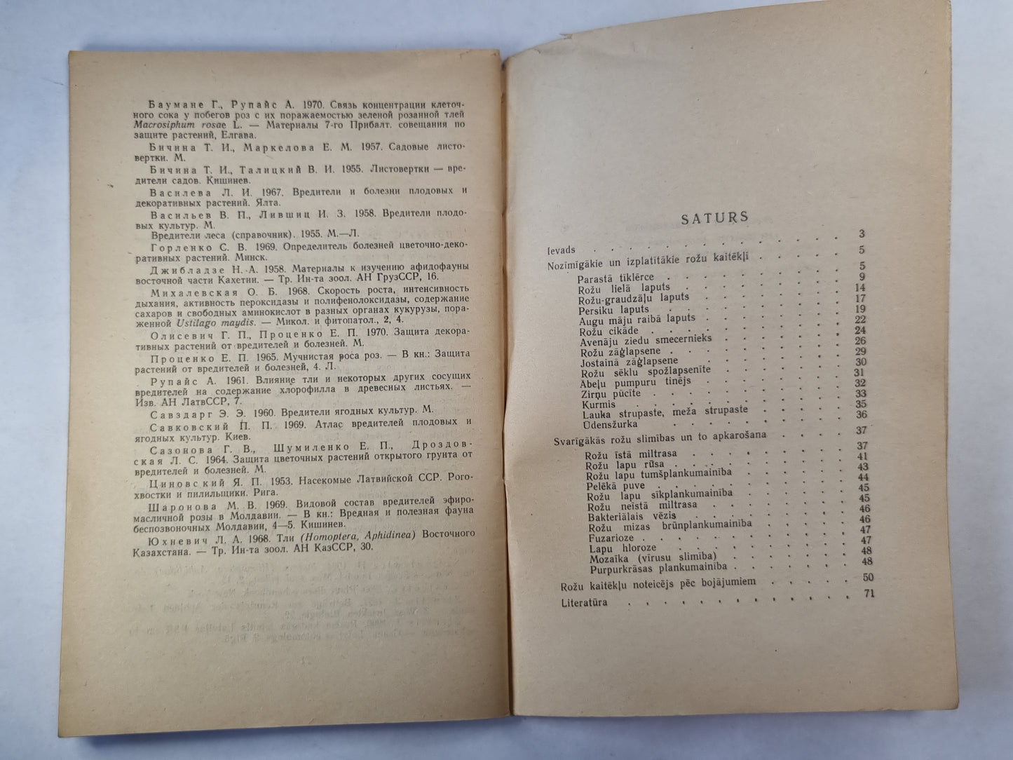 Rožu kaitēkļi un slimības