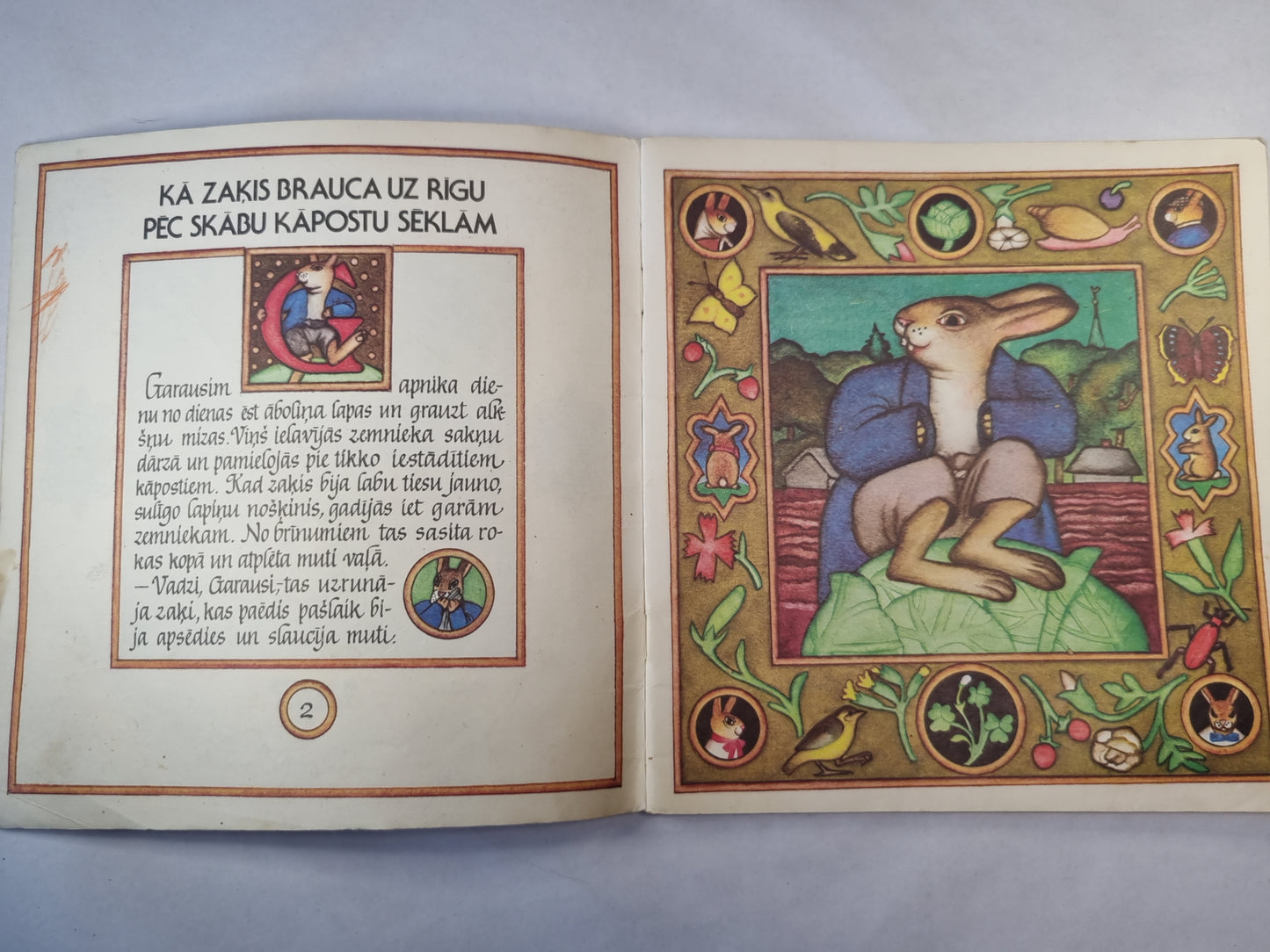 Kā zaķis brauca uz Rīgu pēc skābu kāpostu sēklām