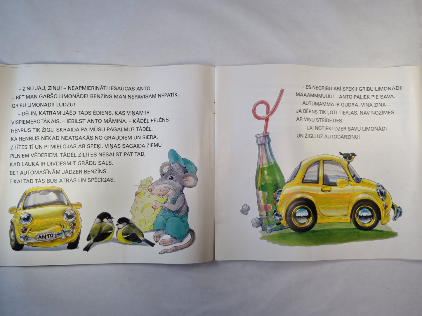 Аутопуика Анто