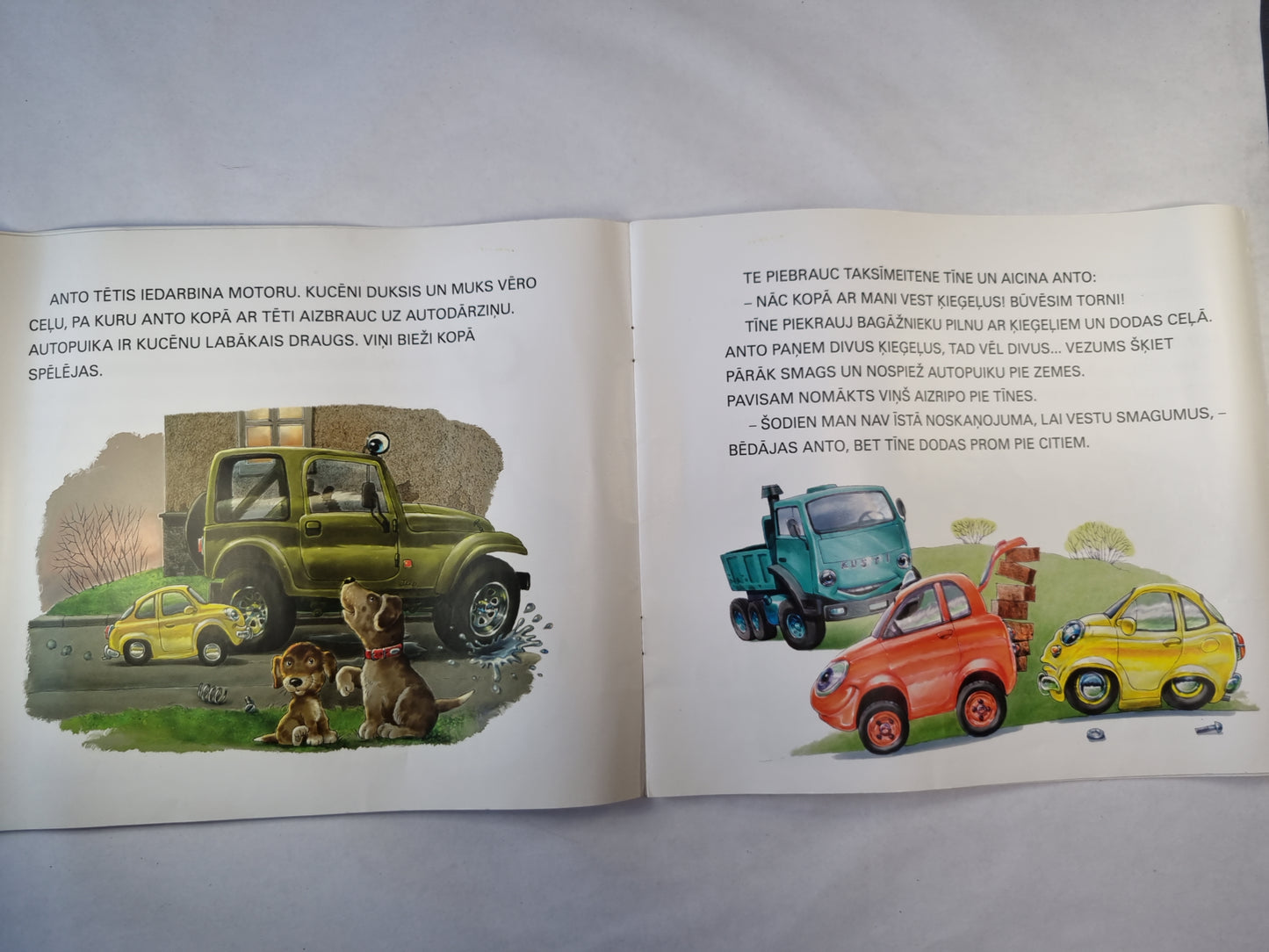 Аутопуика Анто