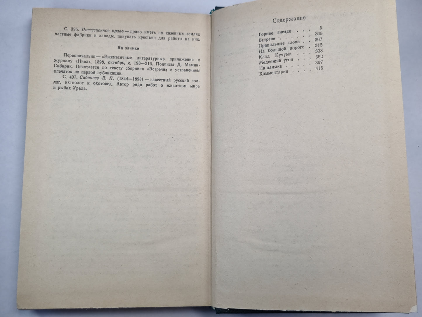 Горное гнездо. Встречи. Очерки и рассказы