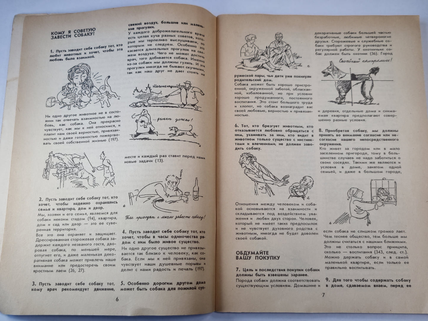 400 советов любителю-собаководу