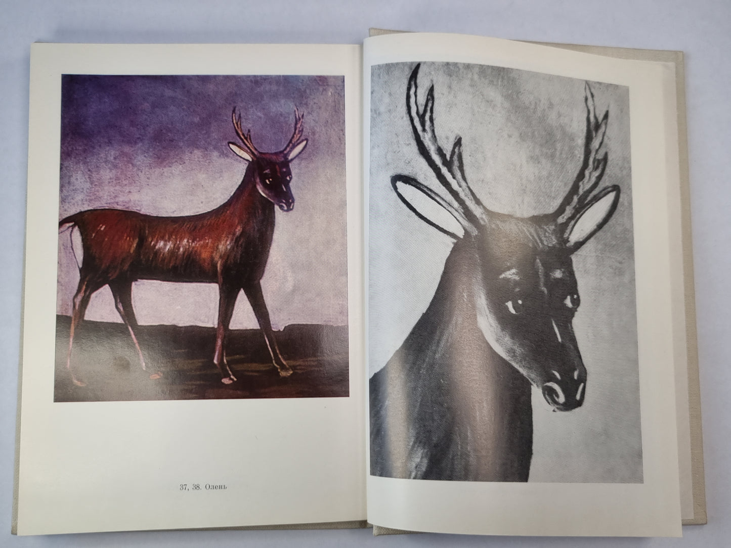 Пиросмани. Жизнь в искусство