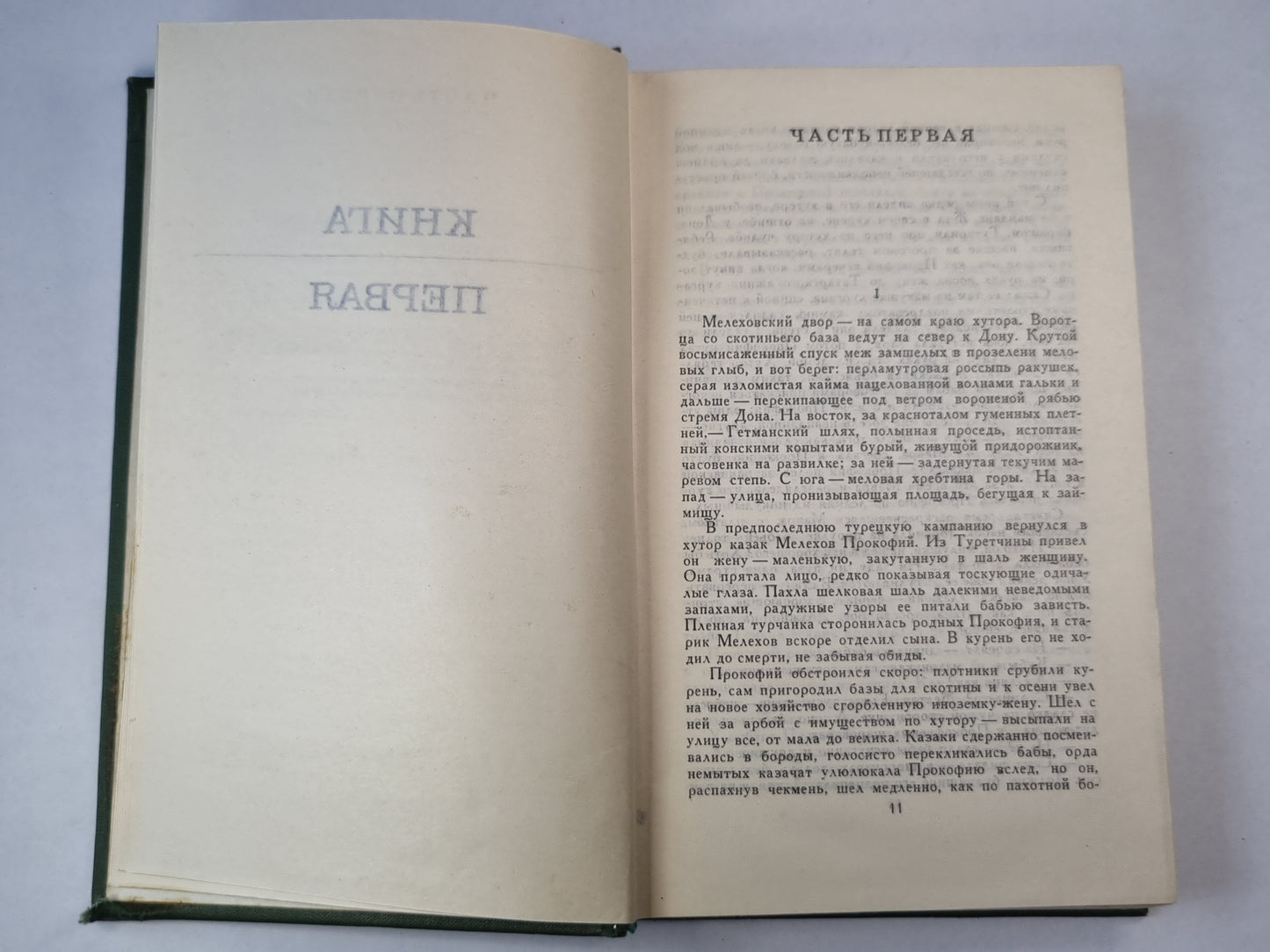 Тихий Дон. Книга 1. Том 1