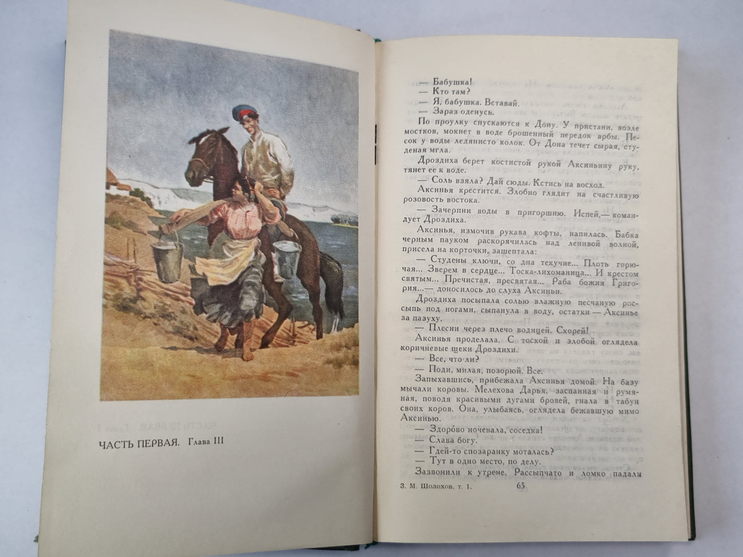 Тихий Дон. Книга 1. Том 1