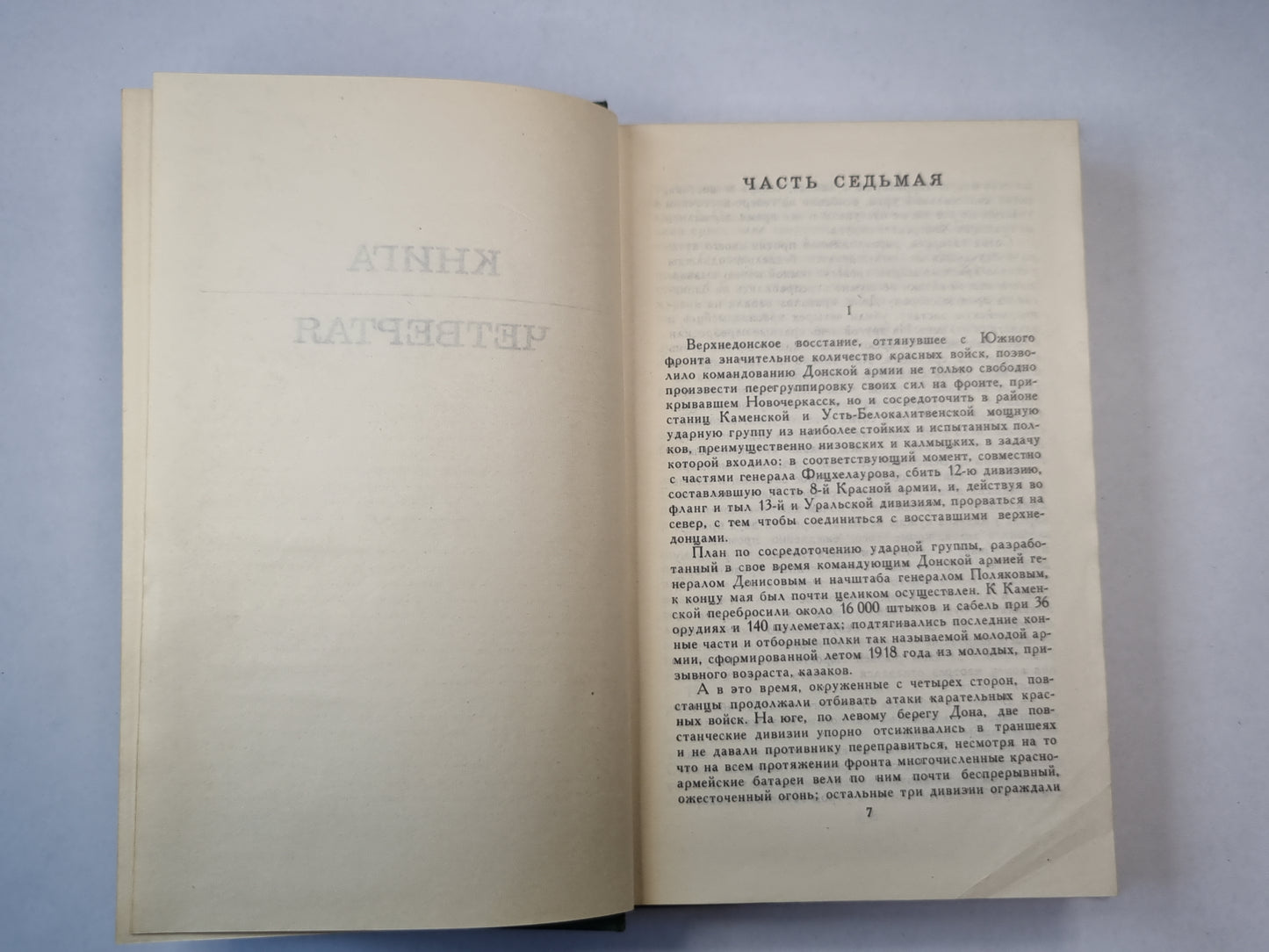 Тихий Дон.Книга 4. Том 4