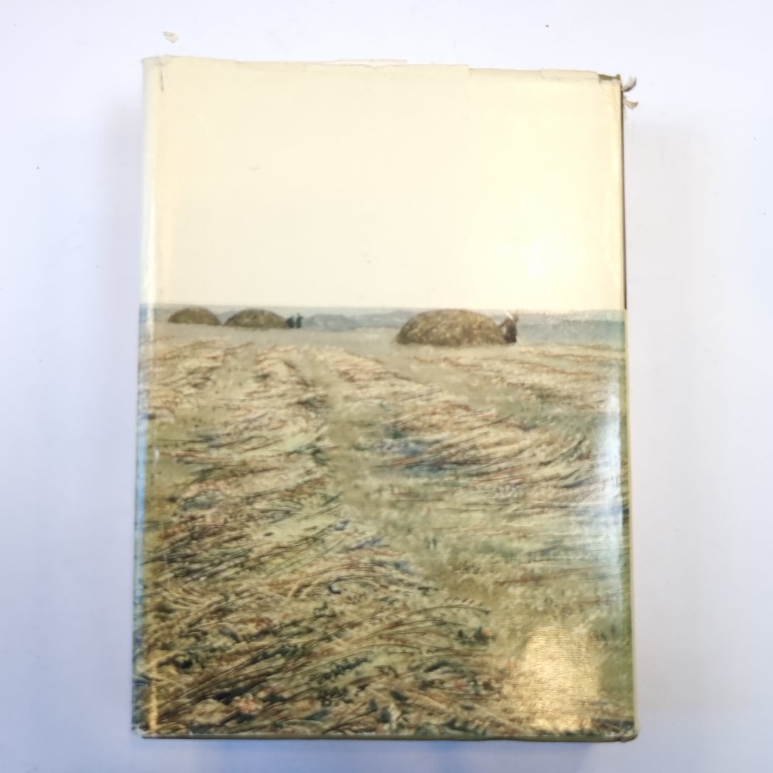 Стихотворения. Поэмы. (Библиотека всемирной литературы)