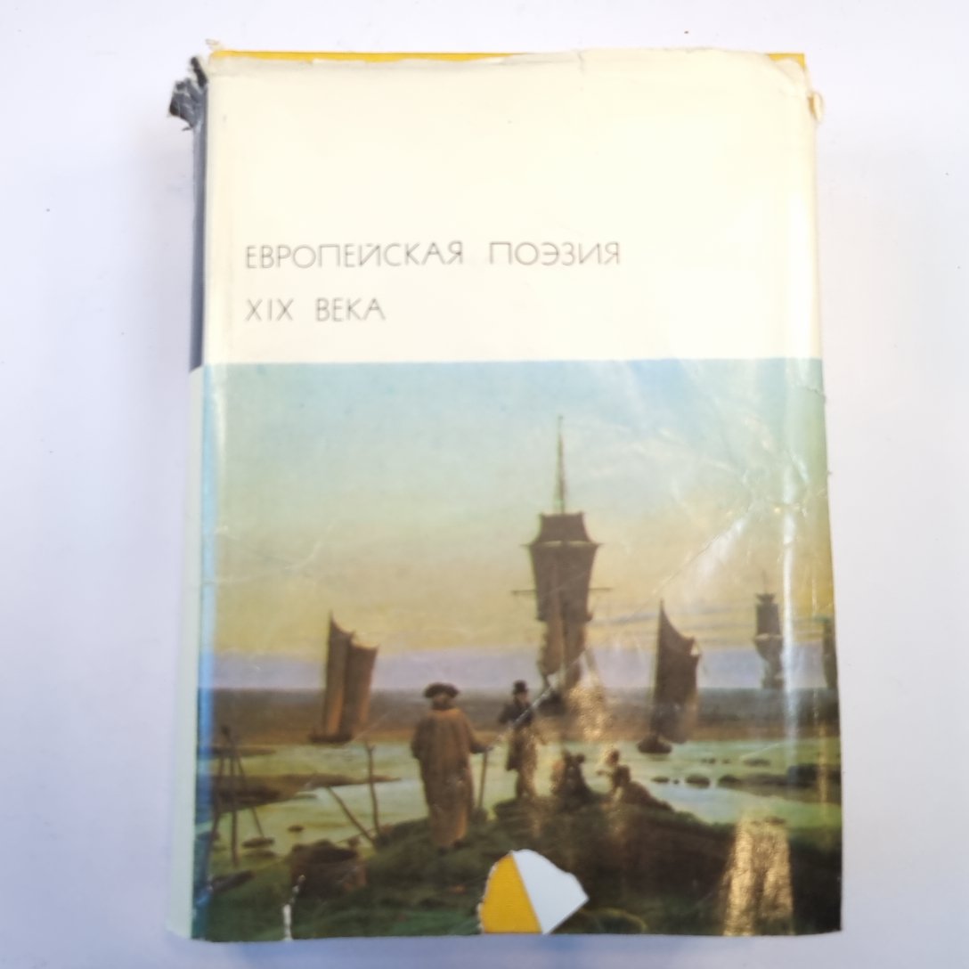 Европейская поэзия XIX века. (Библиотека всемирной литературы)