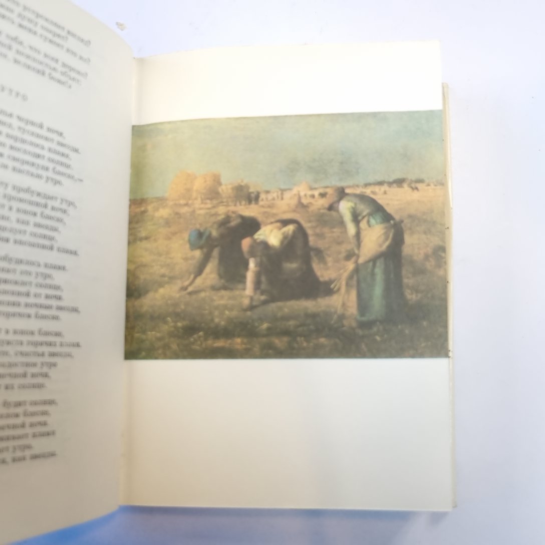 Европейская поэзия XIX века. (Библиотека всемирной литературы)