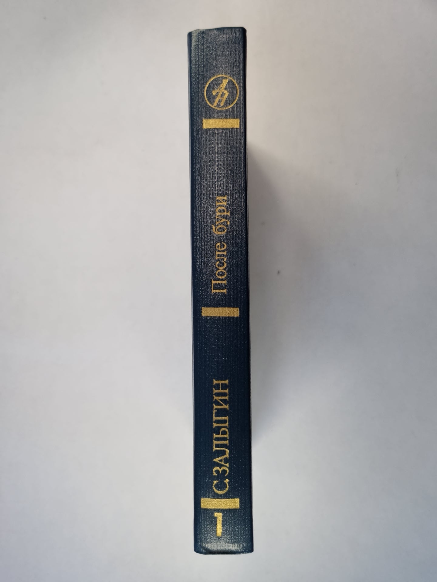 После бури. Книга 1