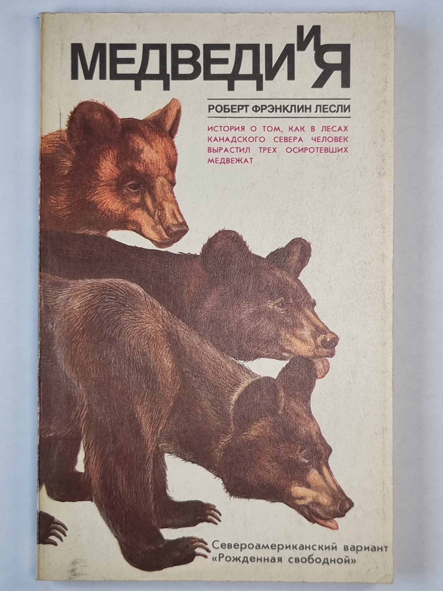 Медведи и я