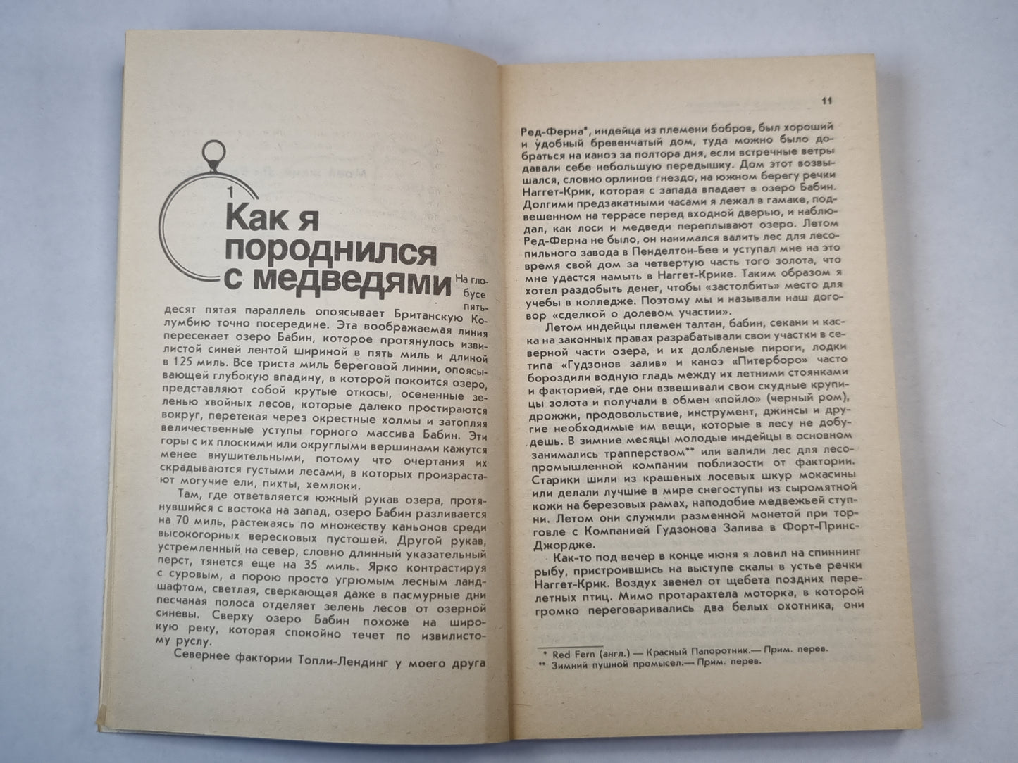 Медведи и я