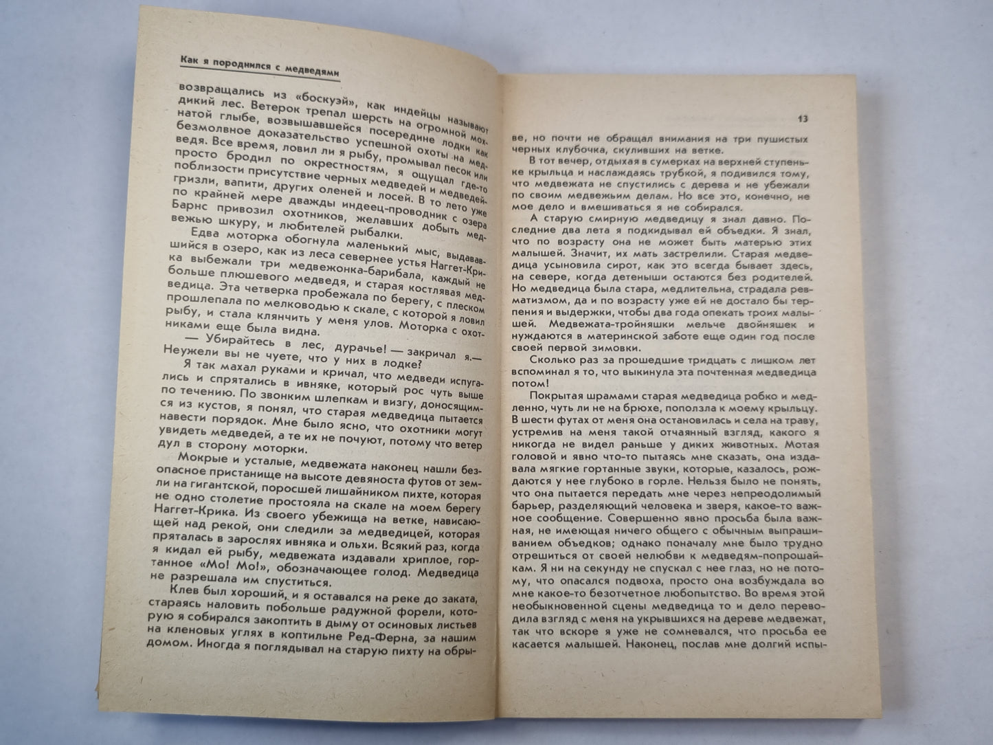 Медведи и я