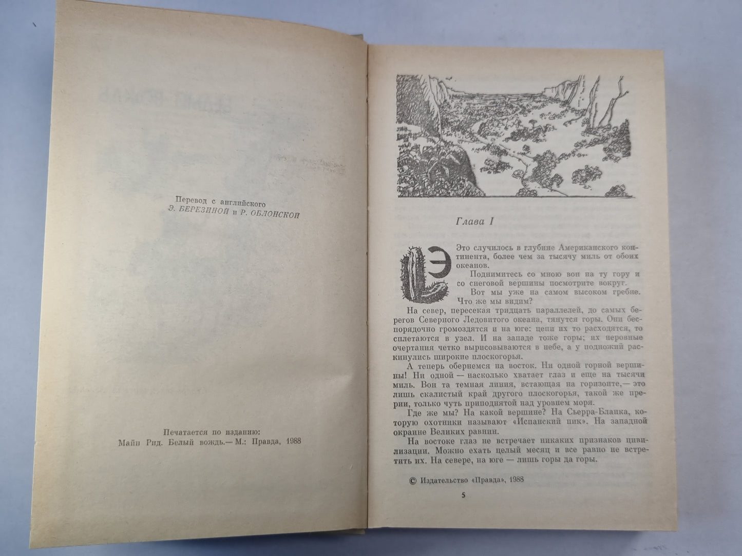 Белый вождь. Квартеронка