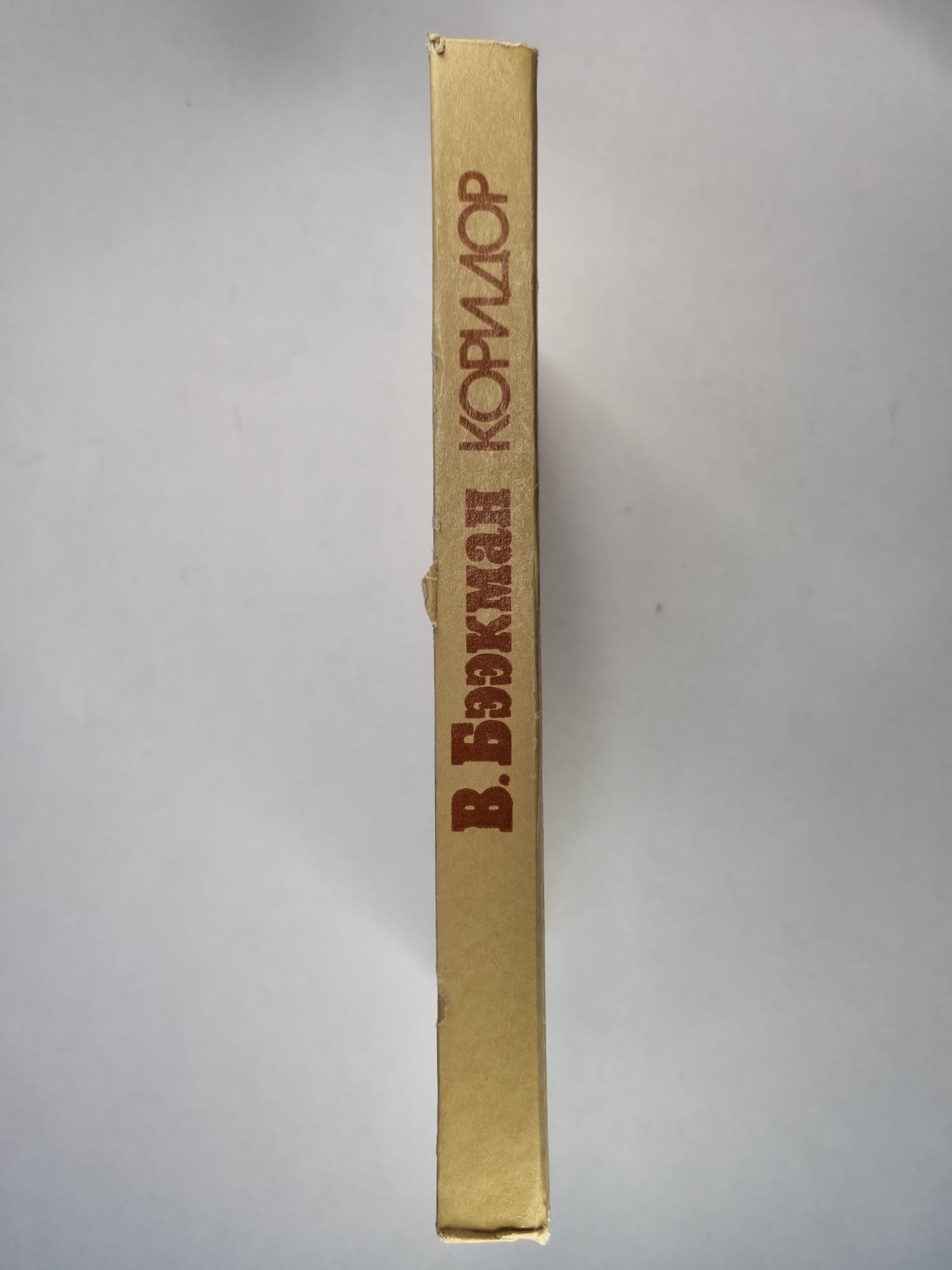 Коридор. Роман в письмах