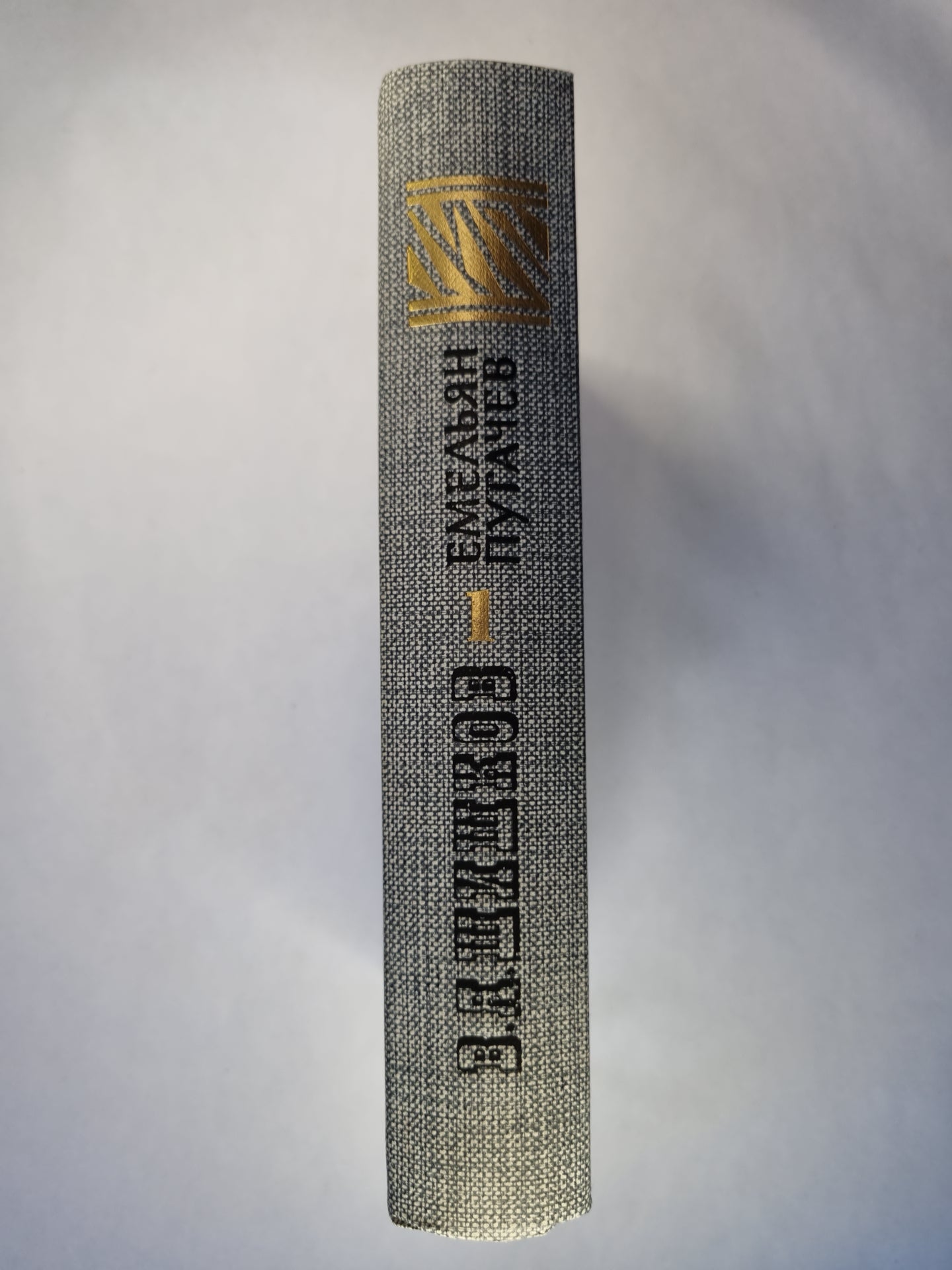 Емельян Пугачев. Книга 1