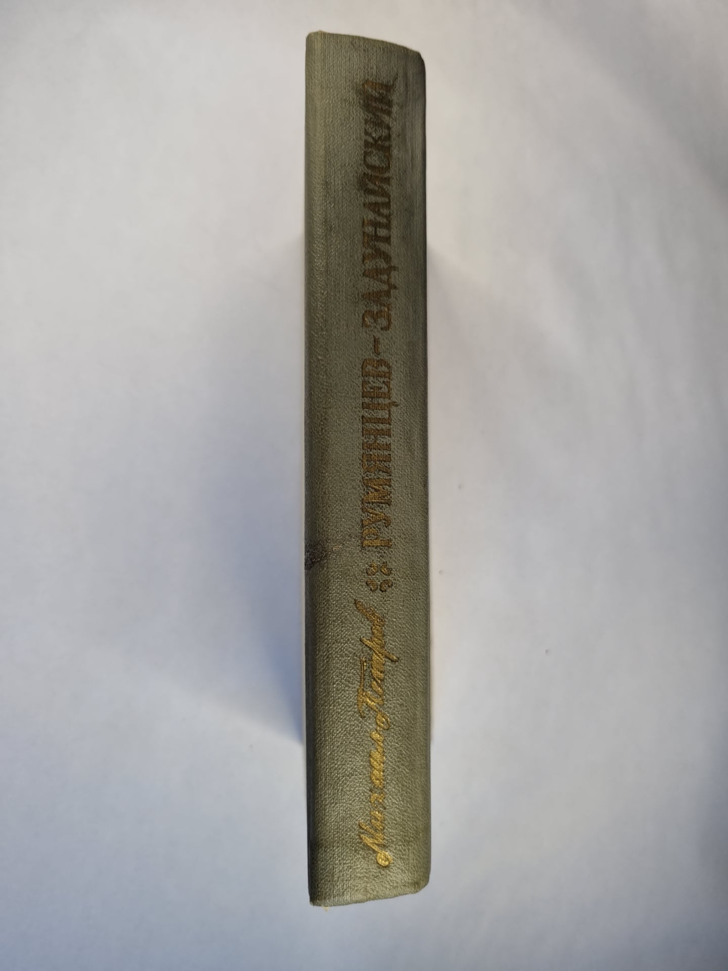 Румянцев-Задунайский. Книга 1