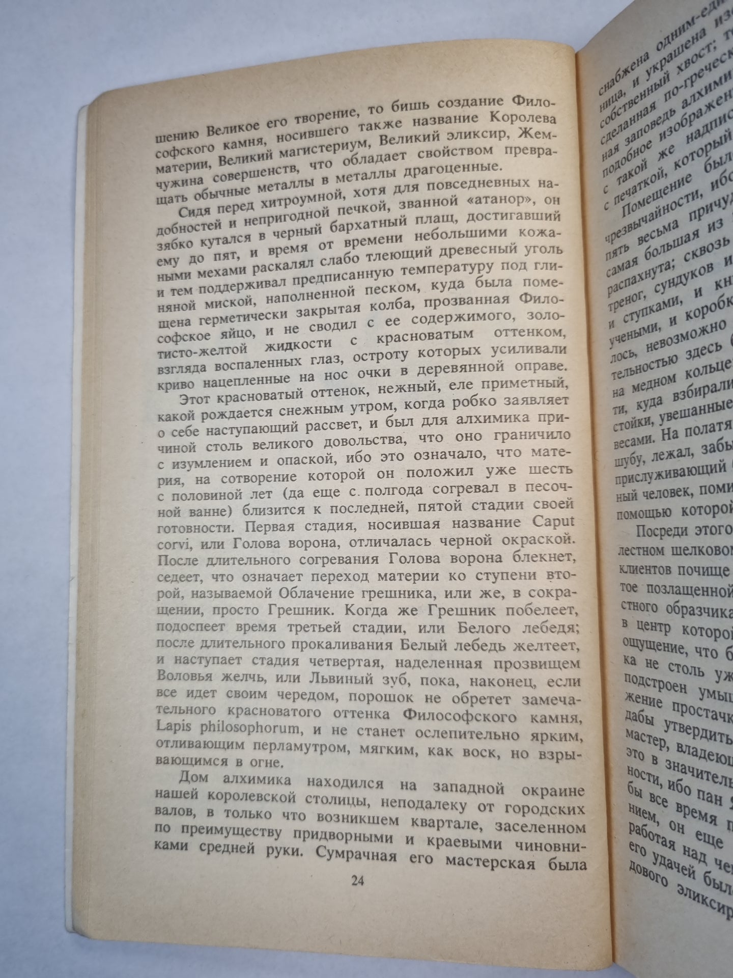 У королевы не бывает ног