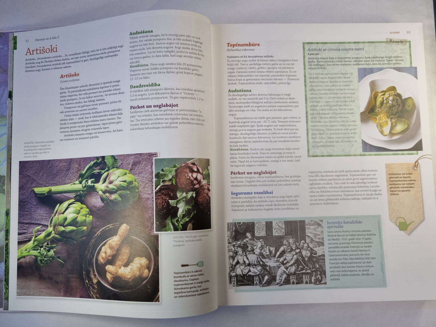 Лиела дарзеню рокасграмата