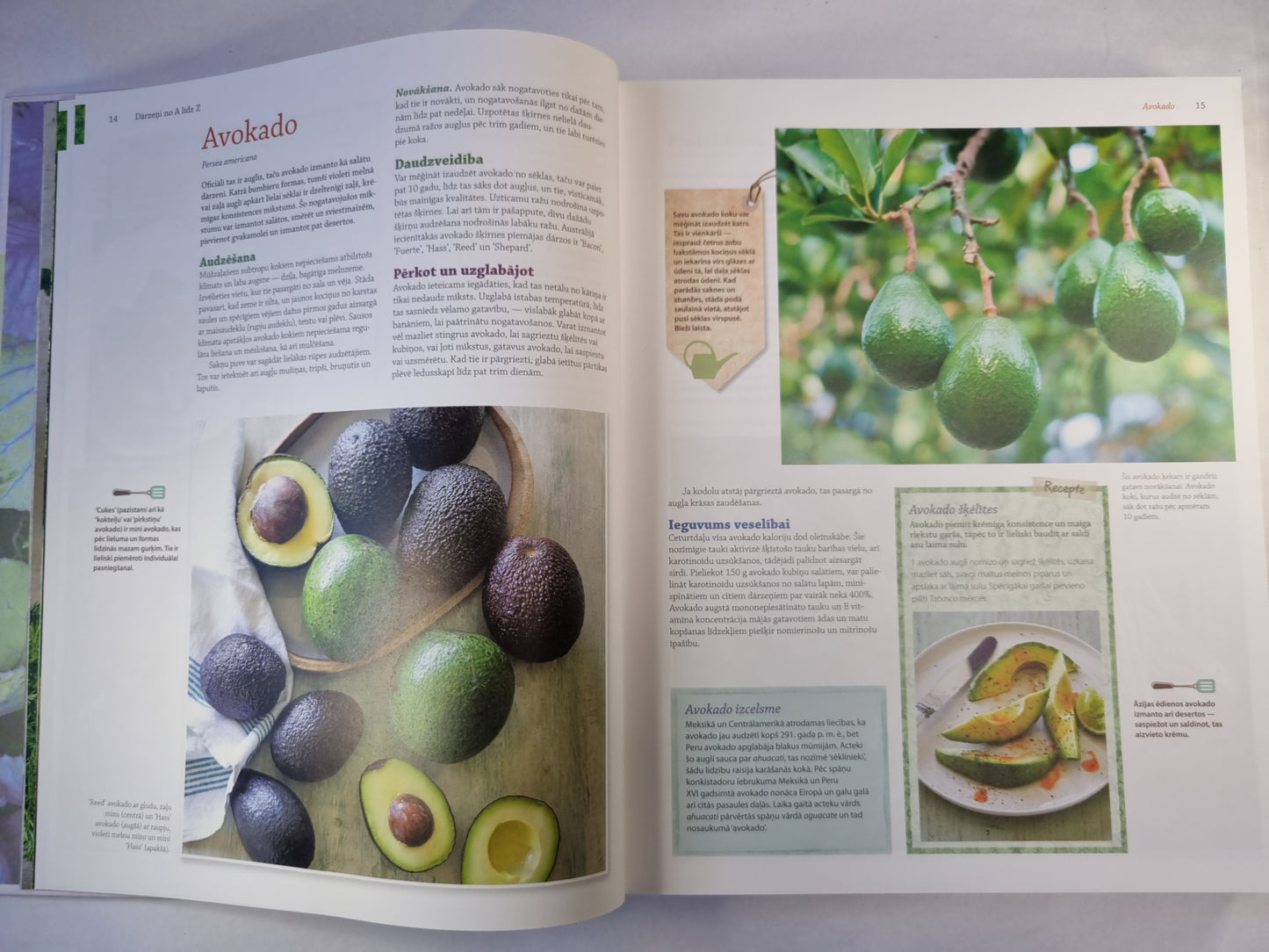 Лиела дарзеню рокасграмата