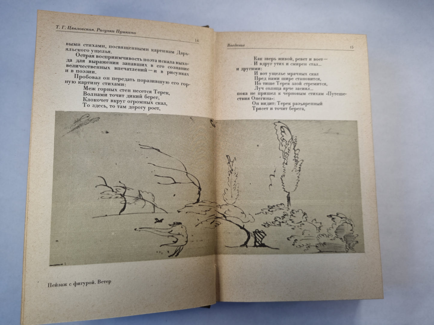 Рисунки Пушкина