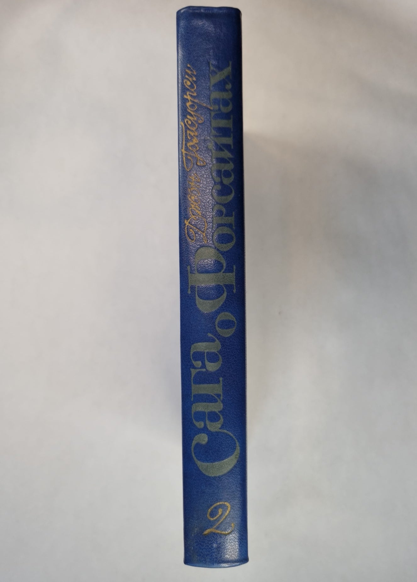 Сага о Форсайтах. Том 2. В петле. Интерлюдия. Пробуждение. Сдается внаем ч.1.