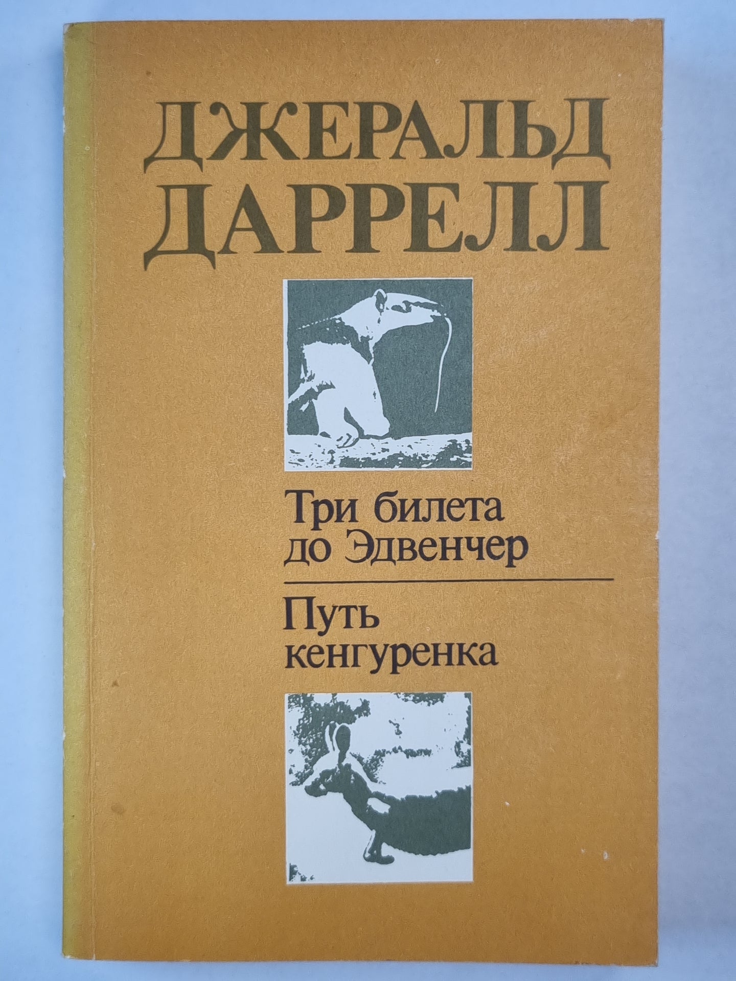 Три билета до Эдвенчер. Путь кенгуренка