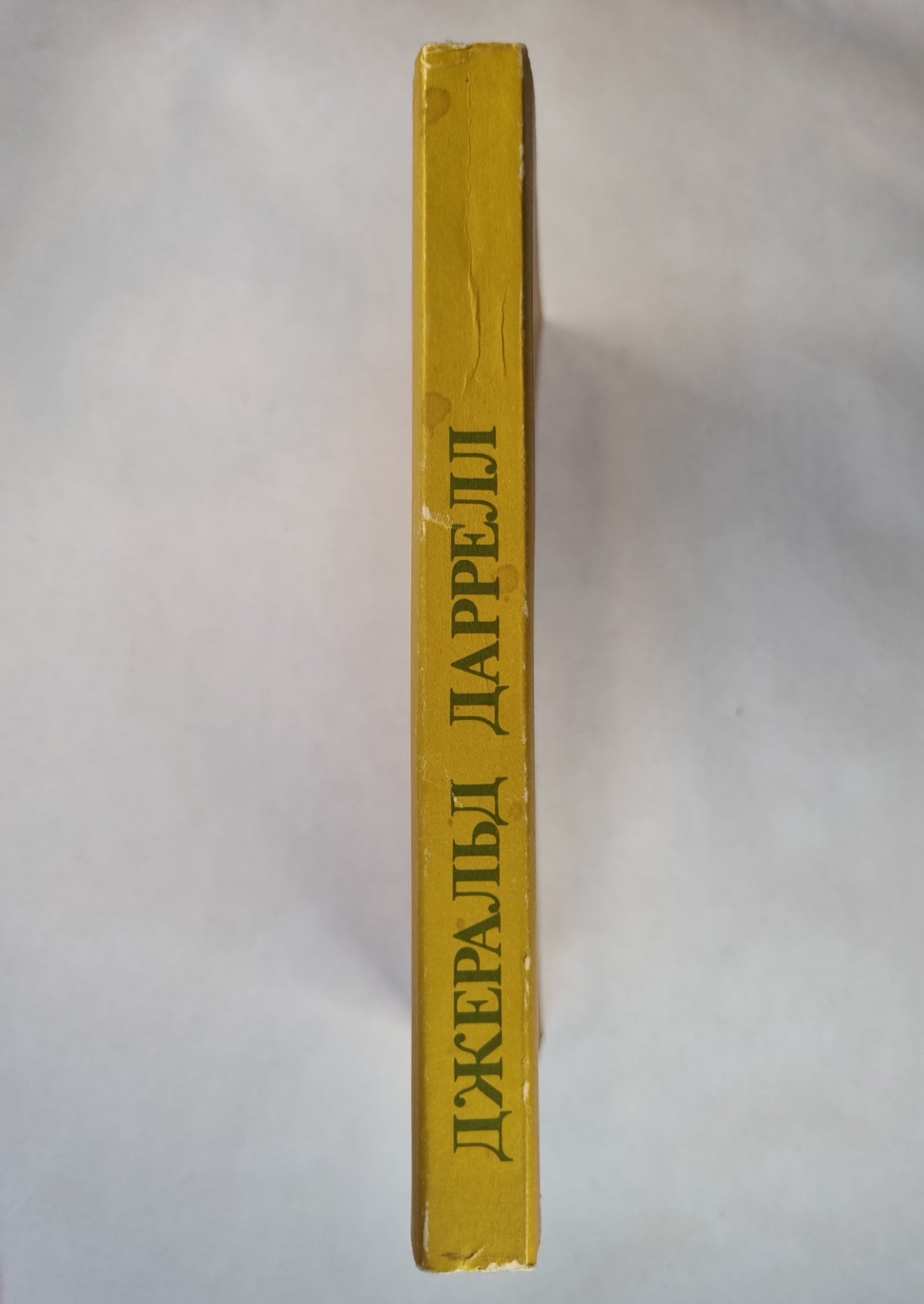 Три билета до Эдвенчер. Путь кенгуренка