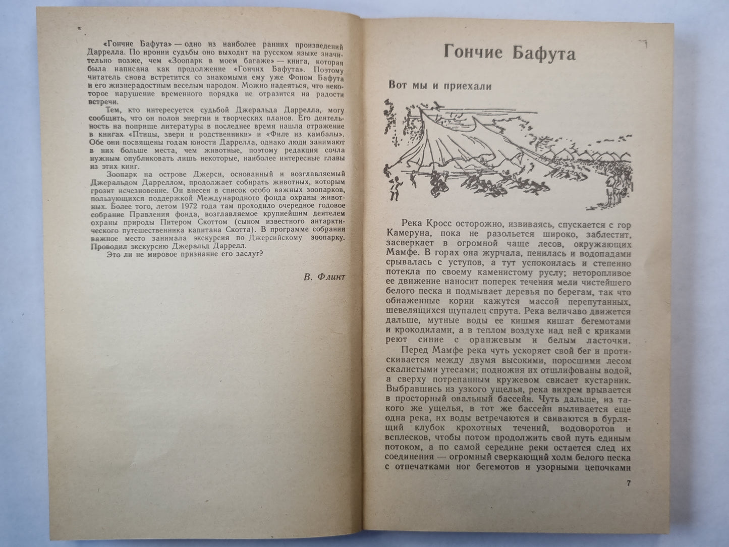 Гончие Бафута