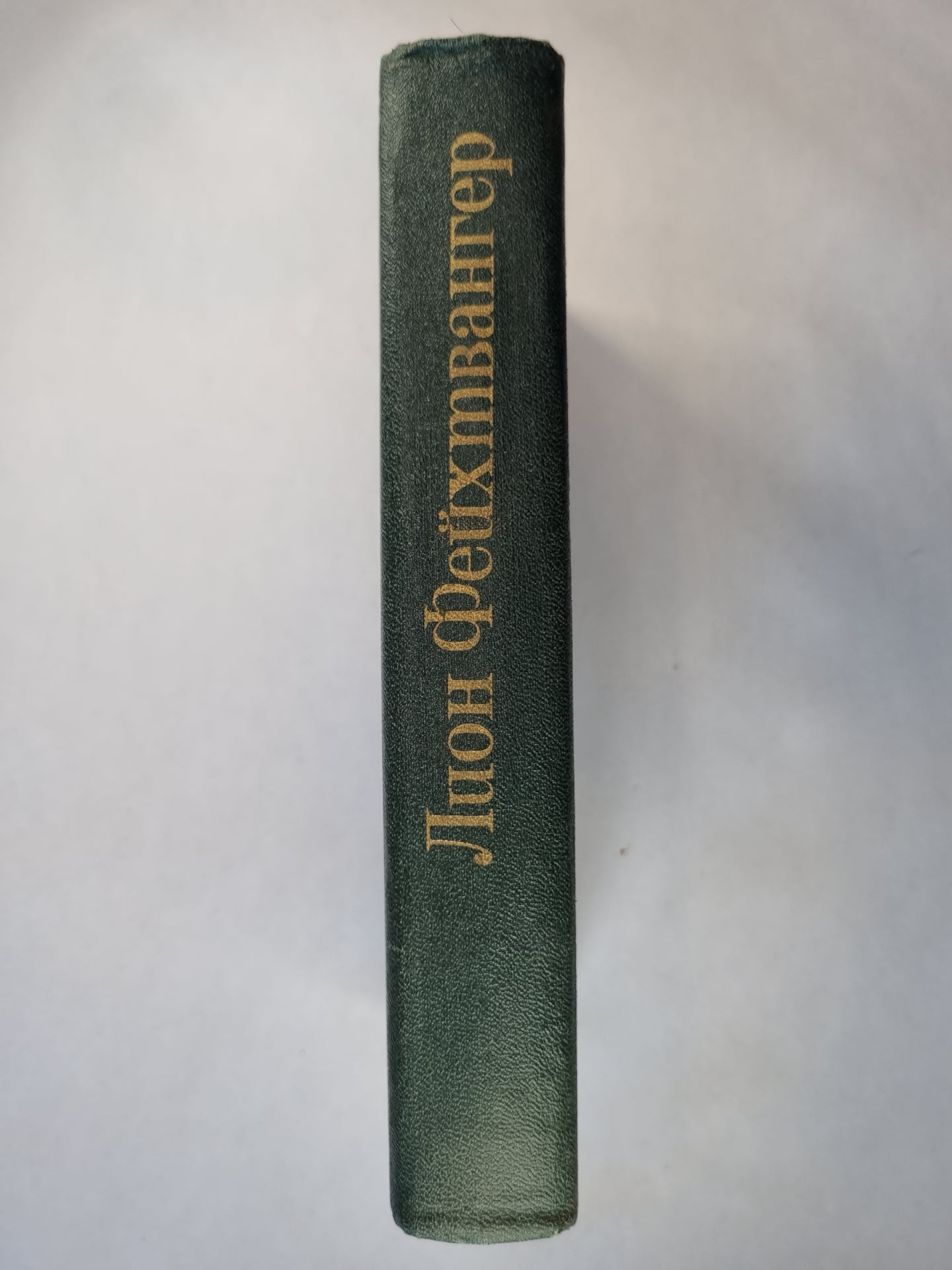 Безобразная герцогиня. Семья Опперман