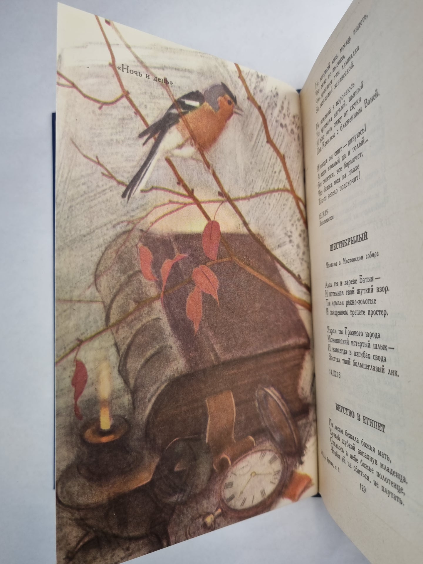 И.Бунин. Собрание сочинений. Том 1. Стихотворения