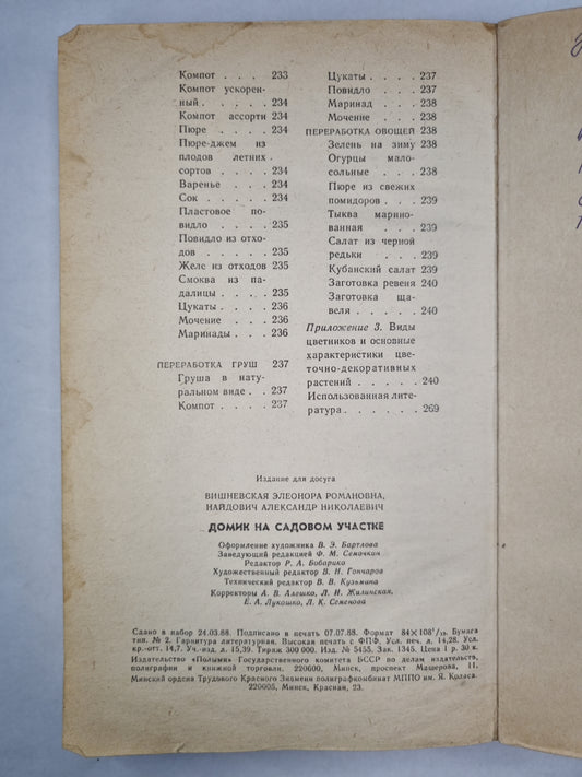 Воздушный корабль. Литературные баллады