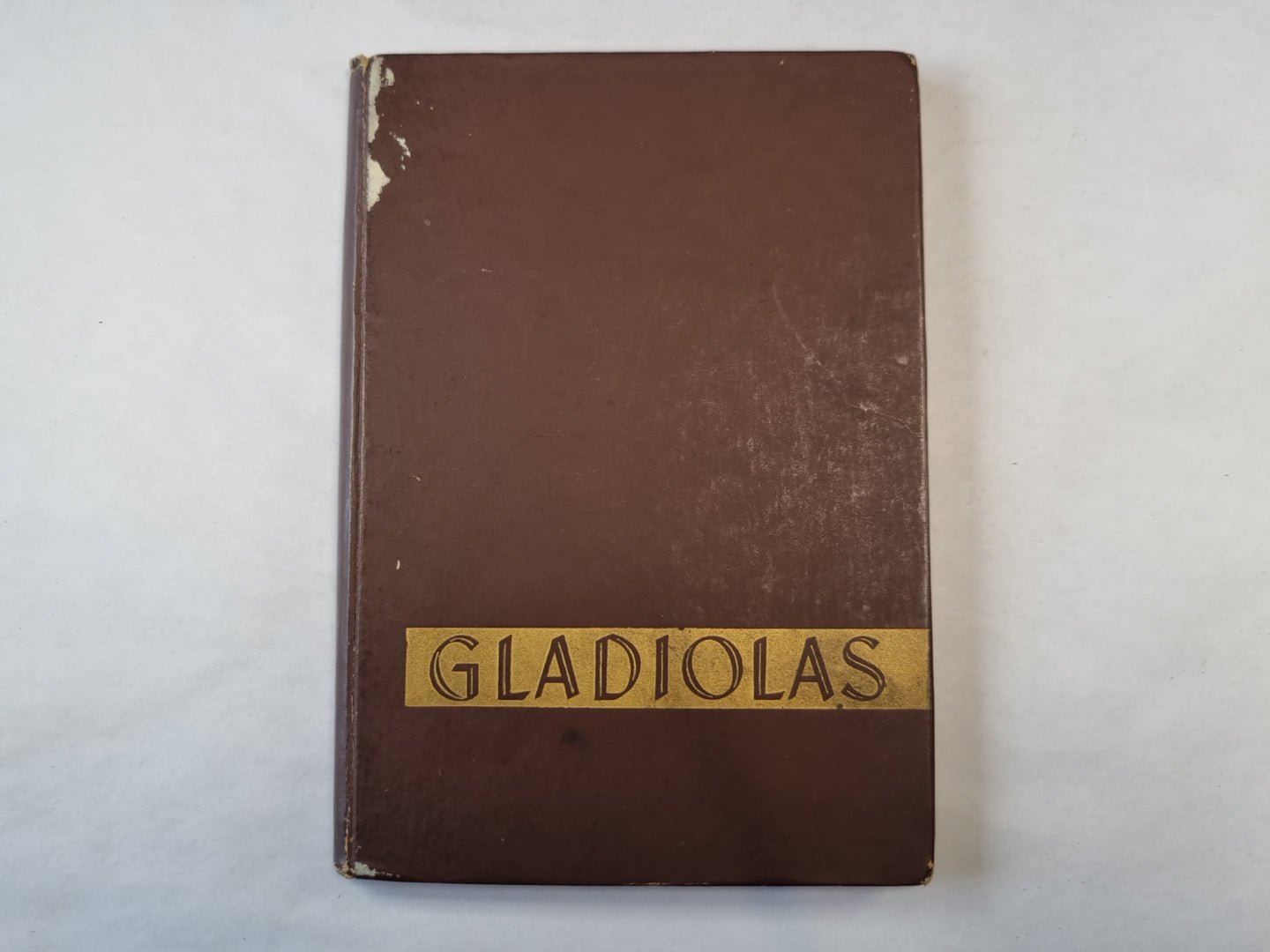 Гладиолусы