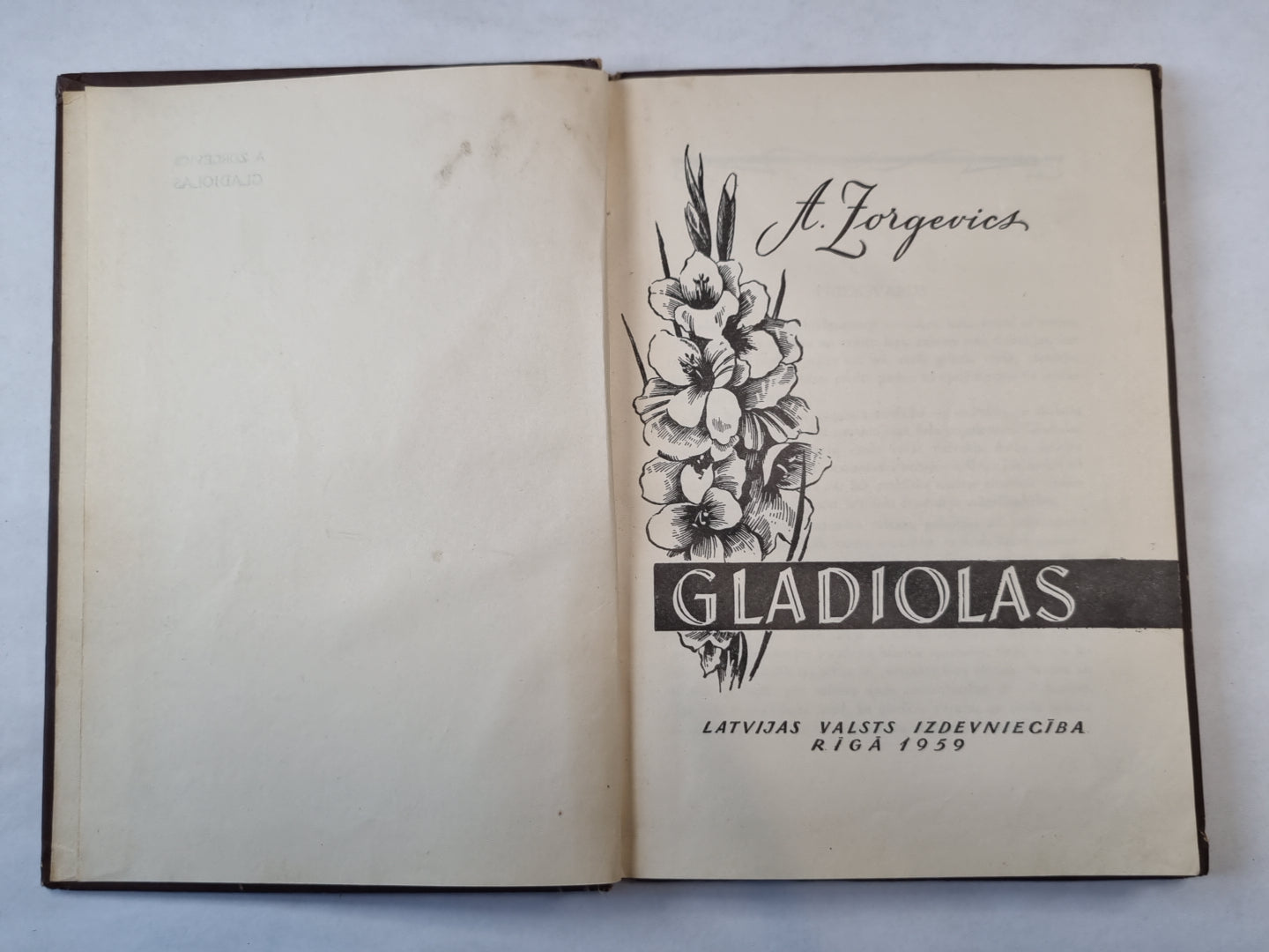 Гладиолусы