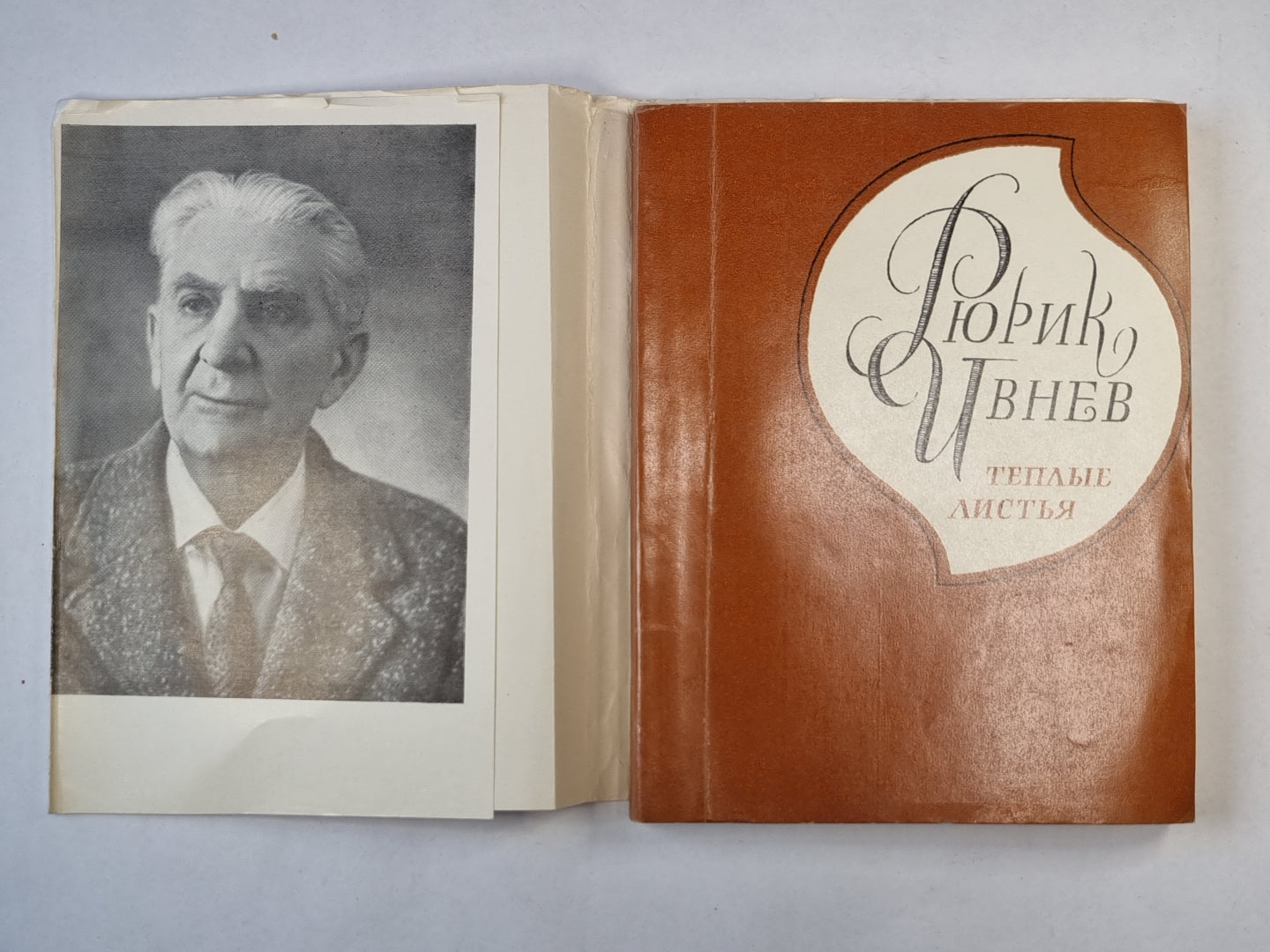 Теплые листья. Стихи