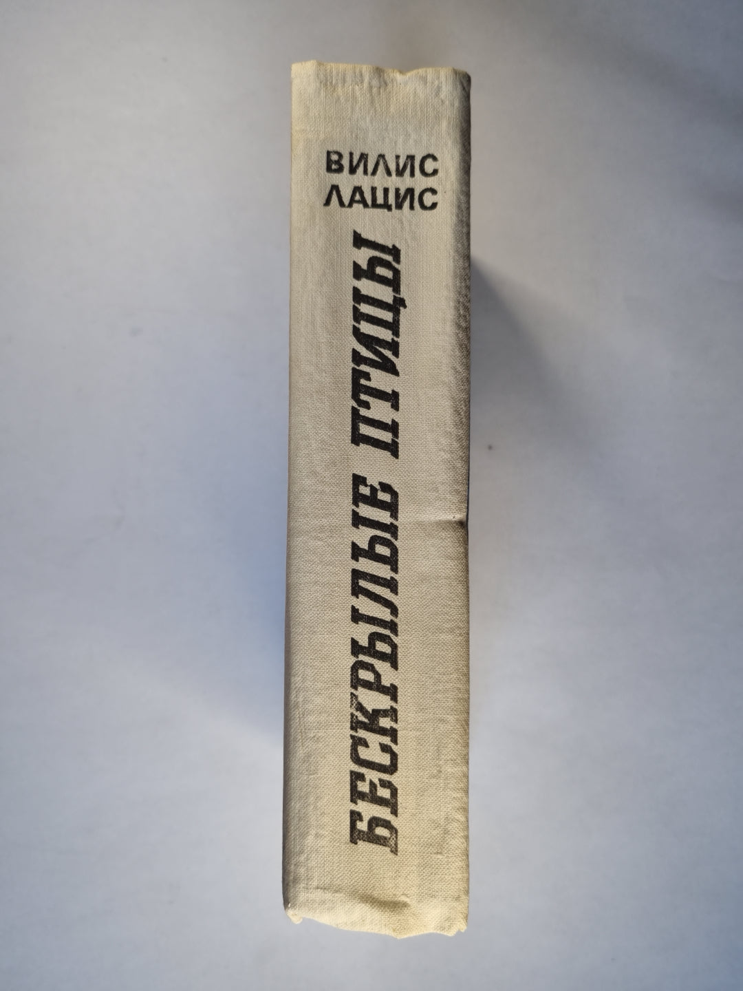 Бескрылые птицы